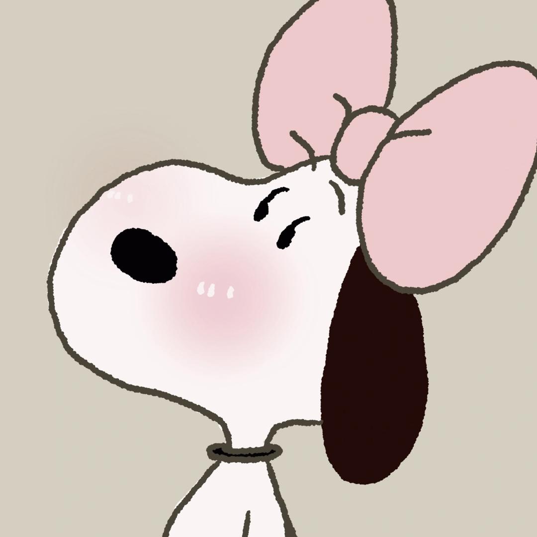 不是zz