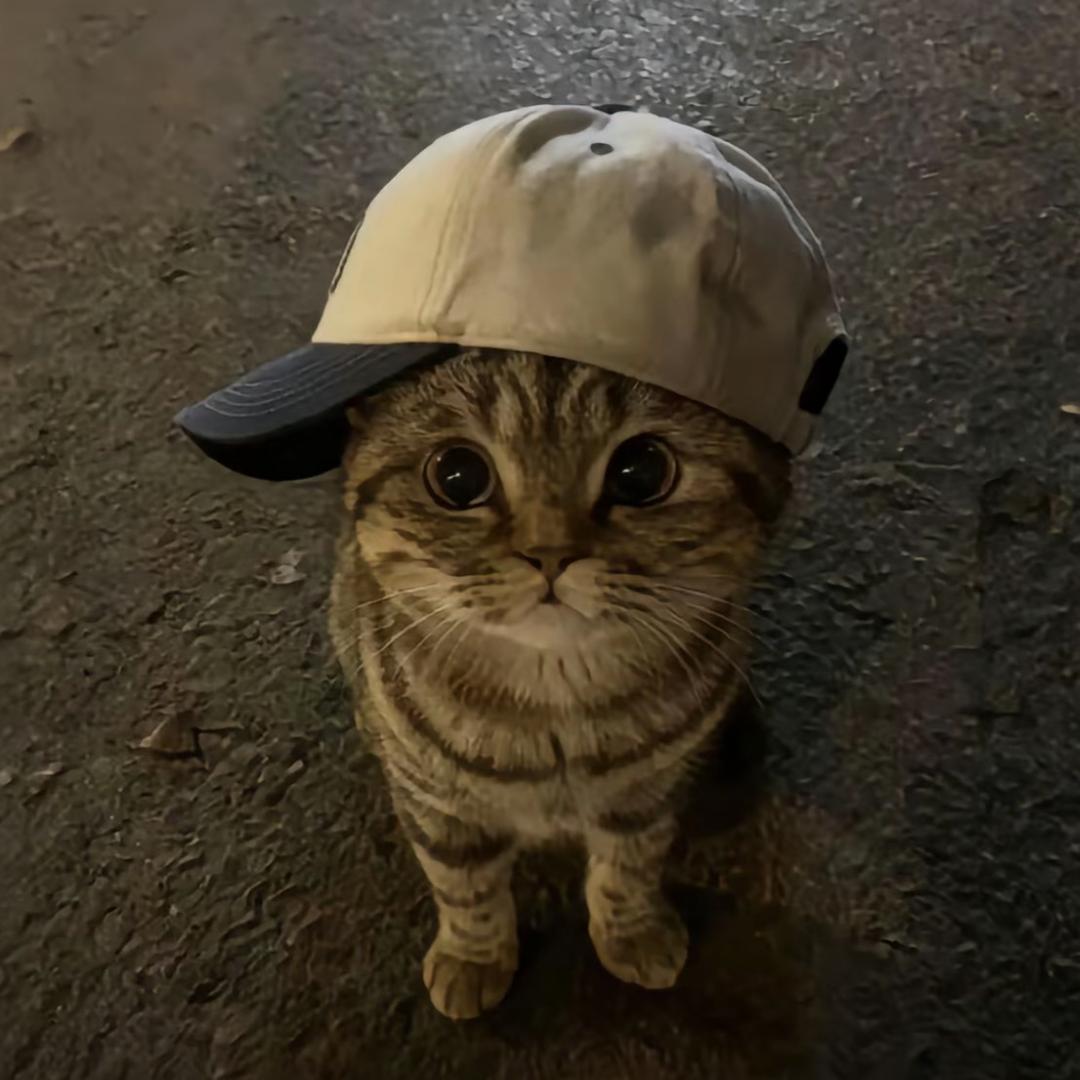 偷吃前任贡品被他现任追杀