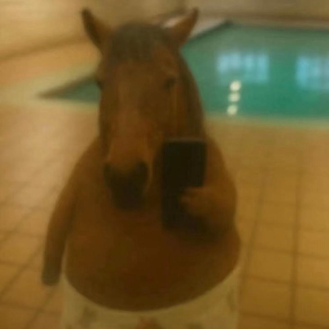 超雄犯了狂抽纯情M一不小心成为圈内顶级S