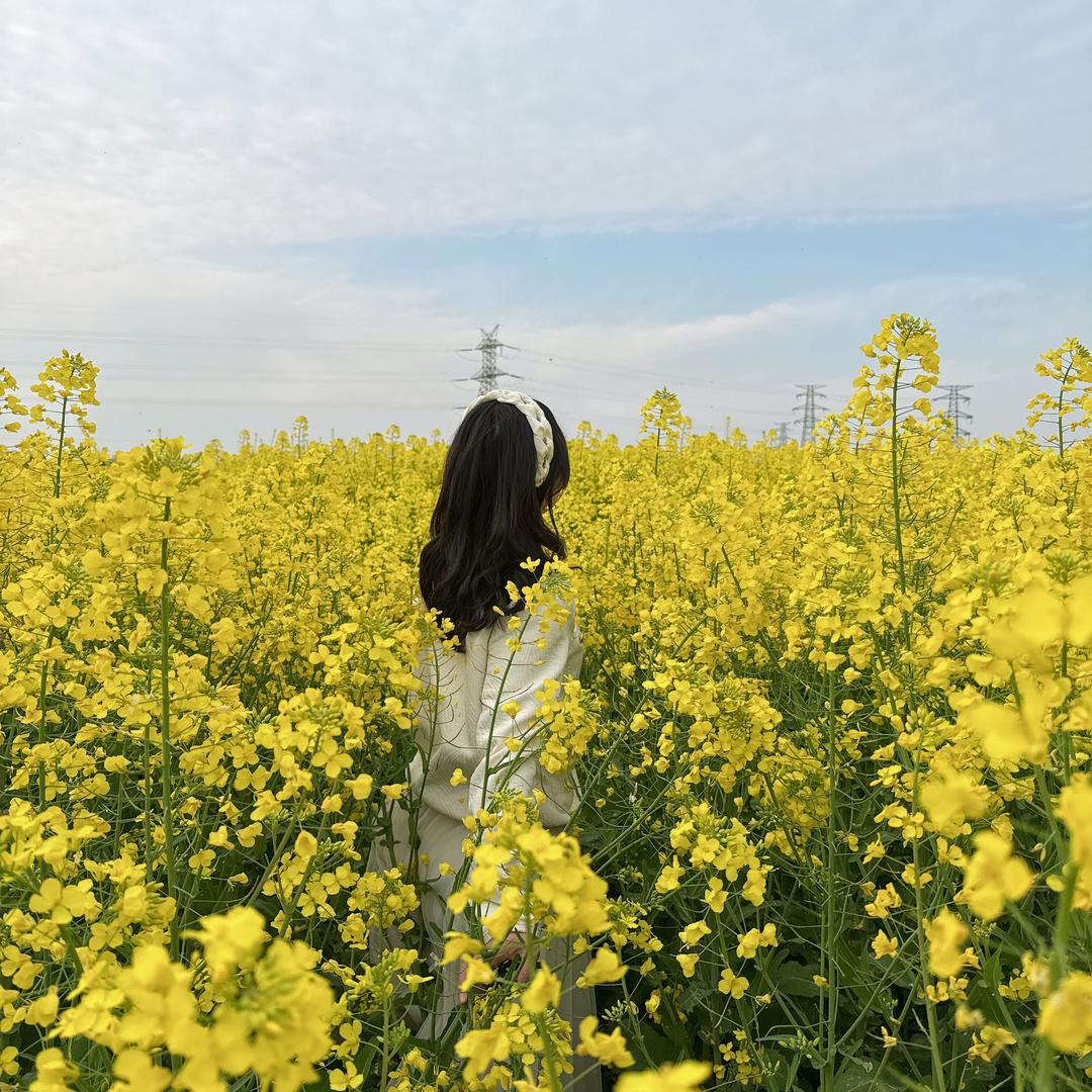 沫沫家🏠（装修中）