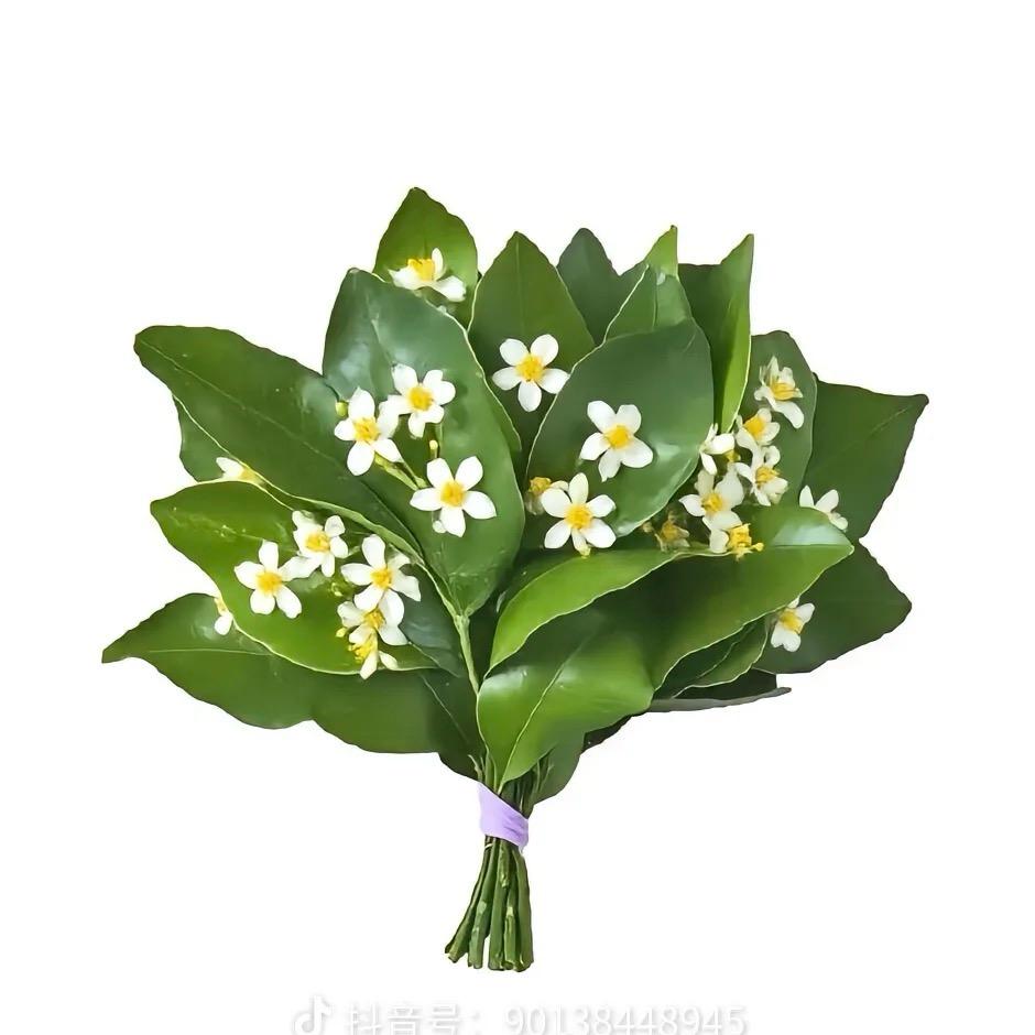 1🌻