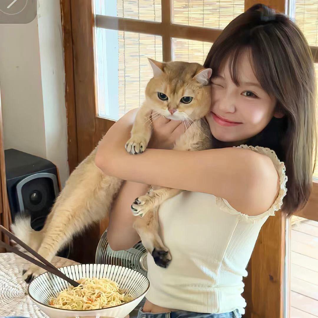 是只困屁熊🧸