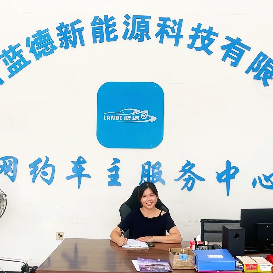 百色德龙二手新能源