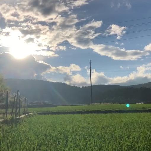 美食直供站