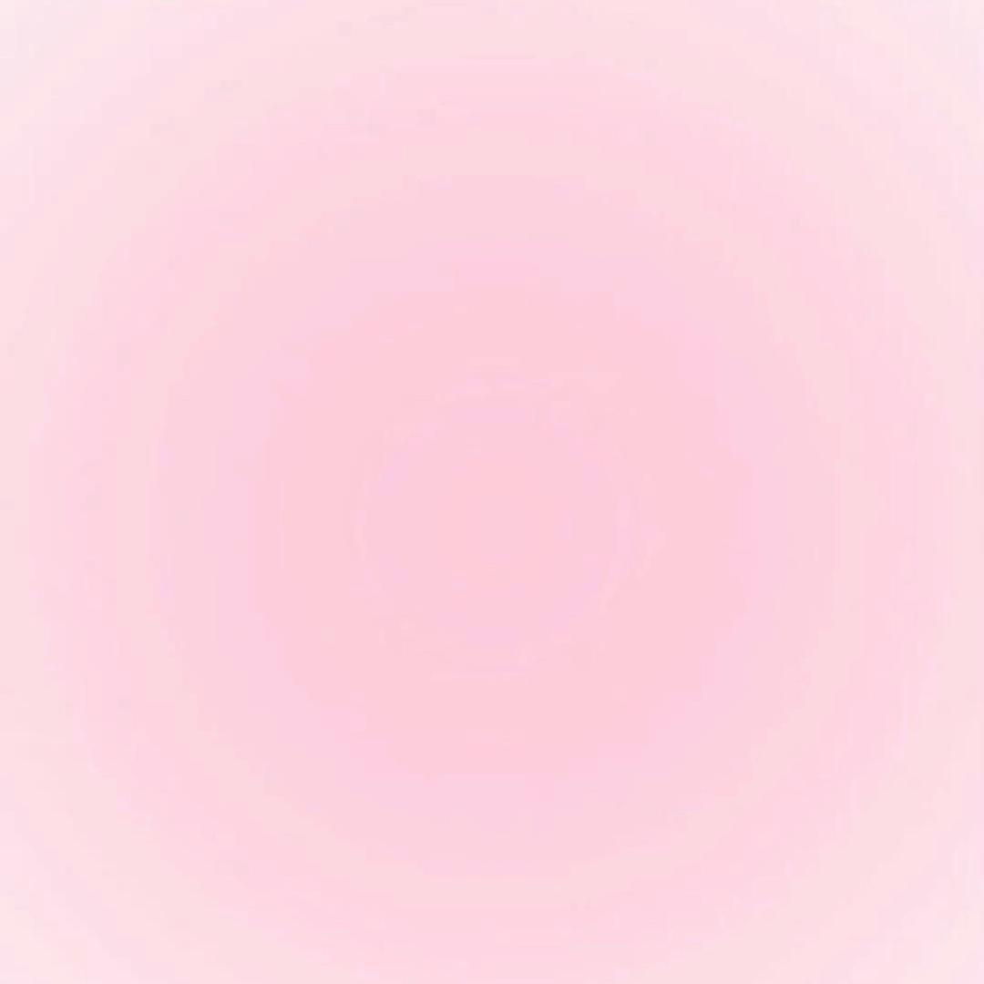 蛋挞樹_