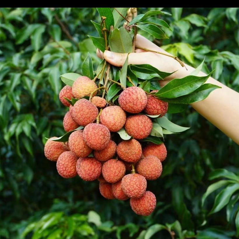 小江鲜生小时达