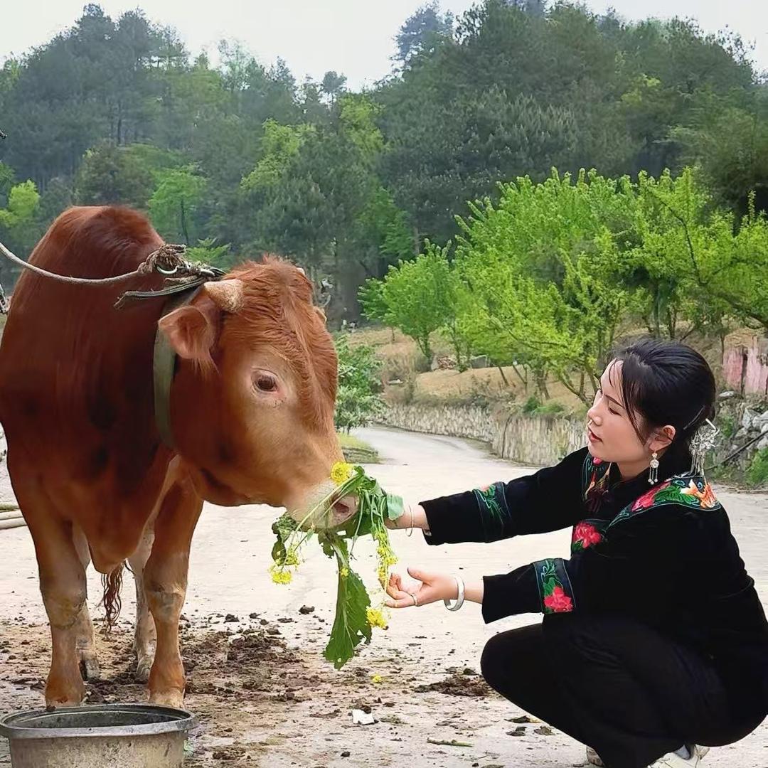 我和我的村