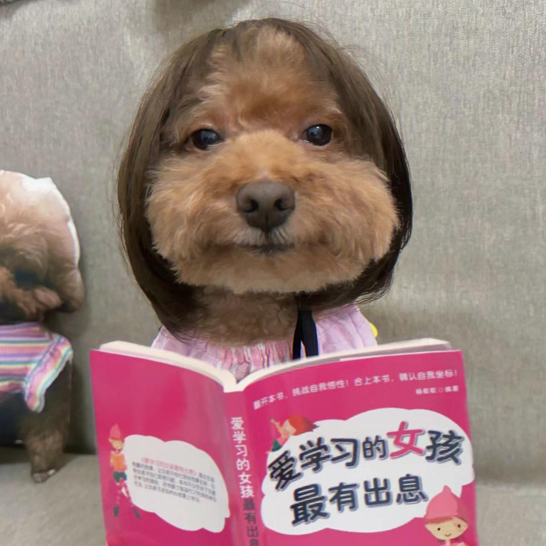 姜泥.