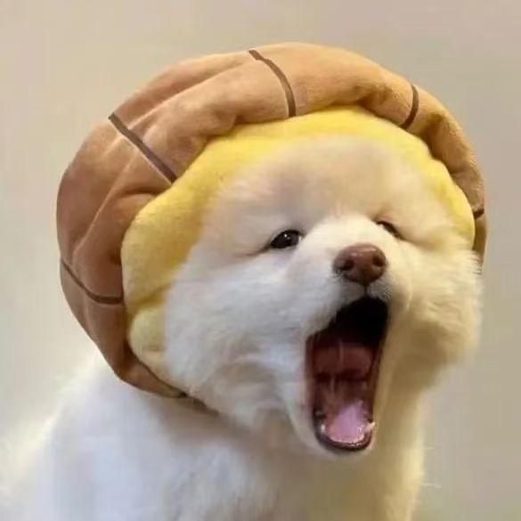 欢乐哈士奇