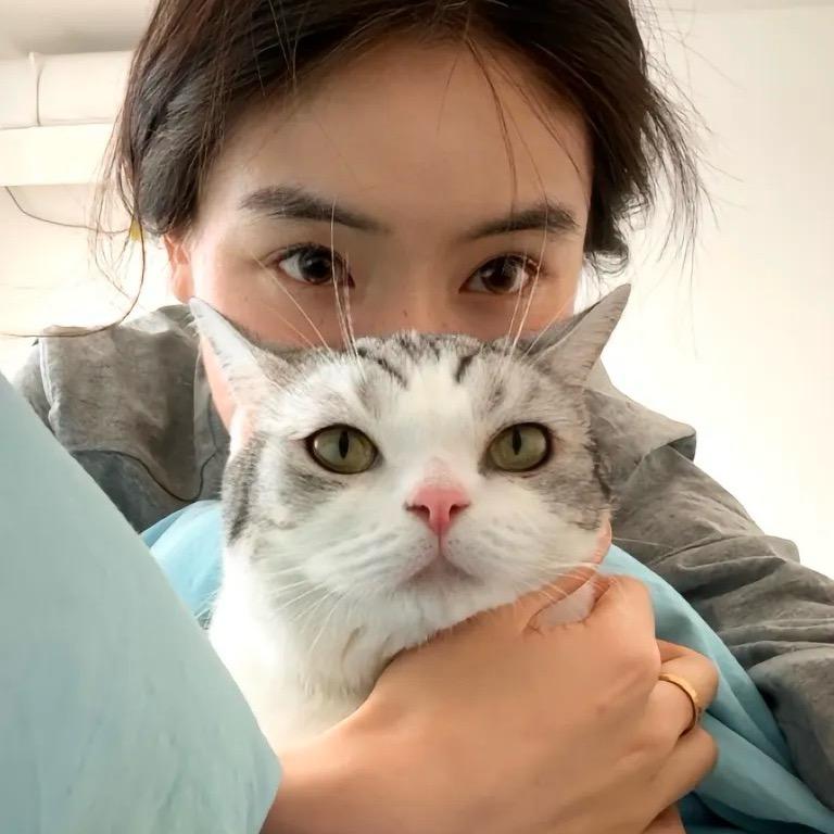 4⃣️个哈密瓜🍈