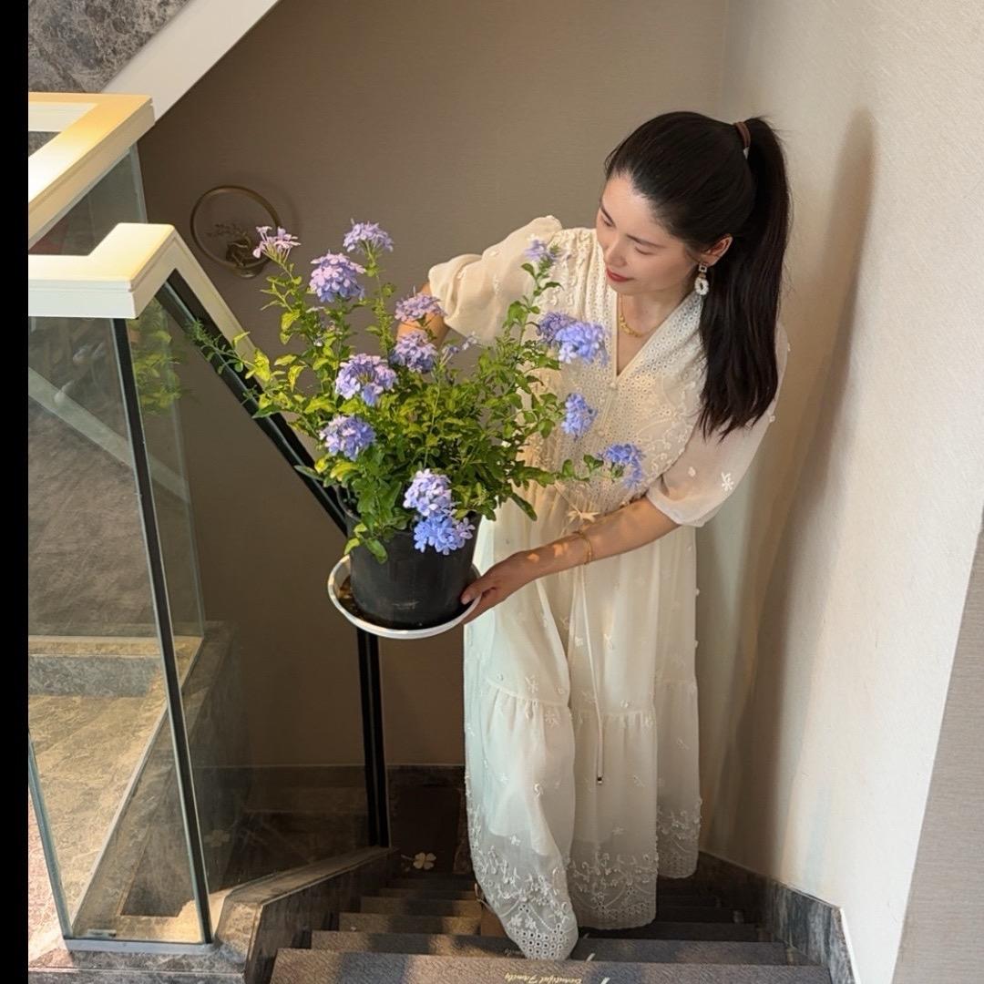 柠婧吖🍋