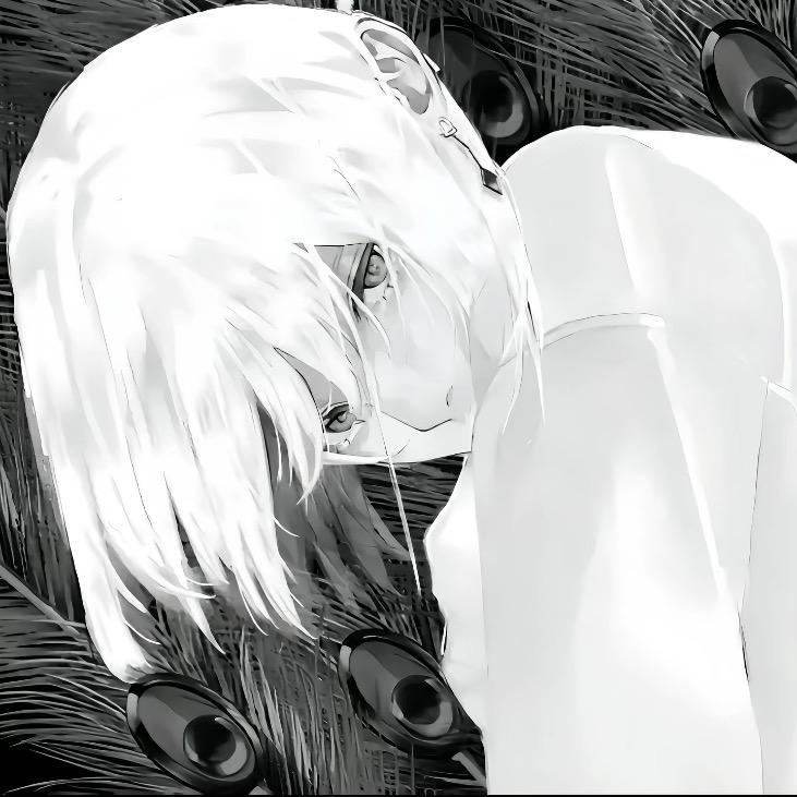 索菲