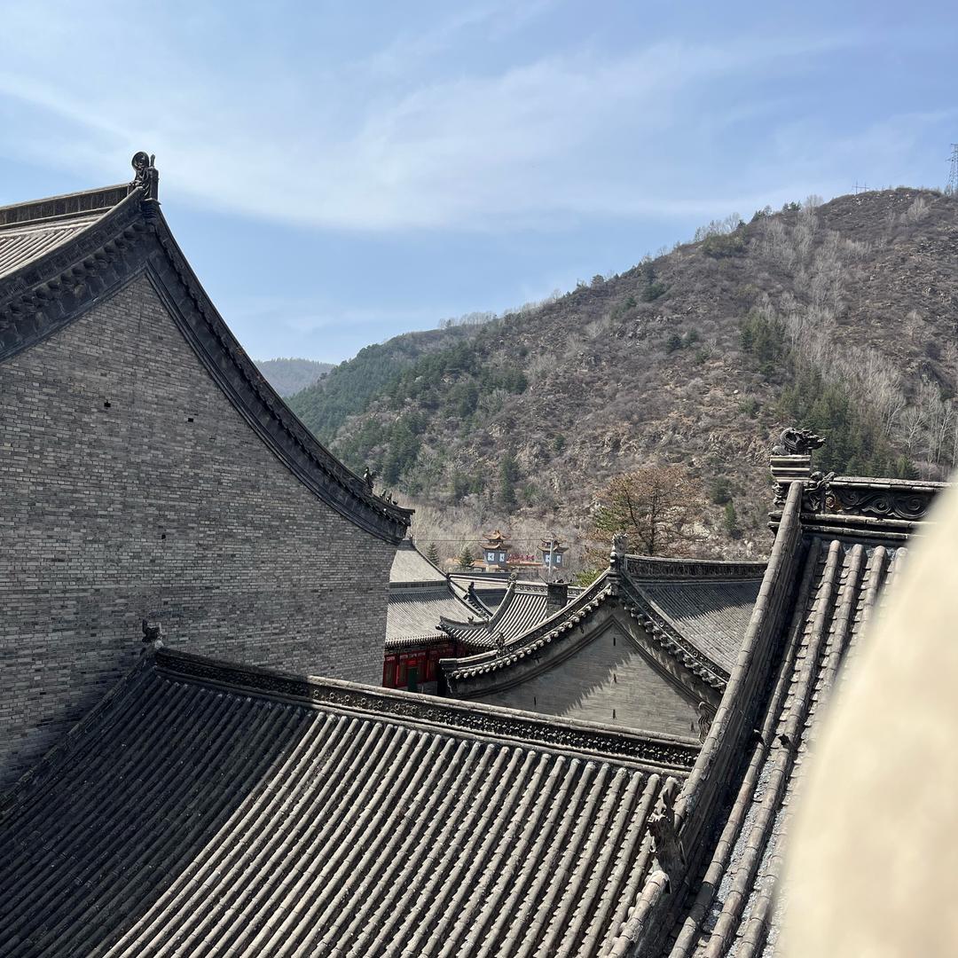 饼哥
