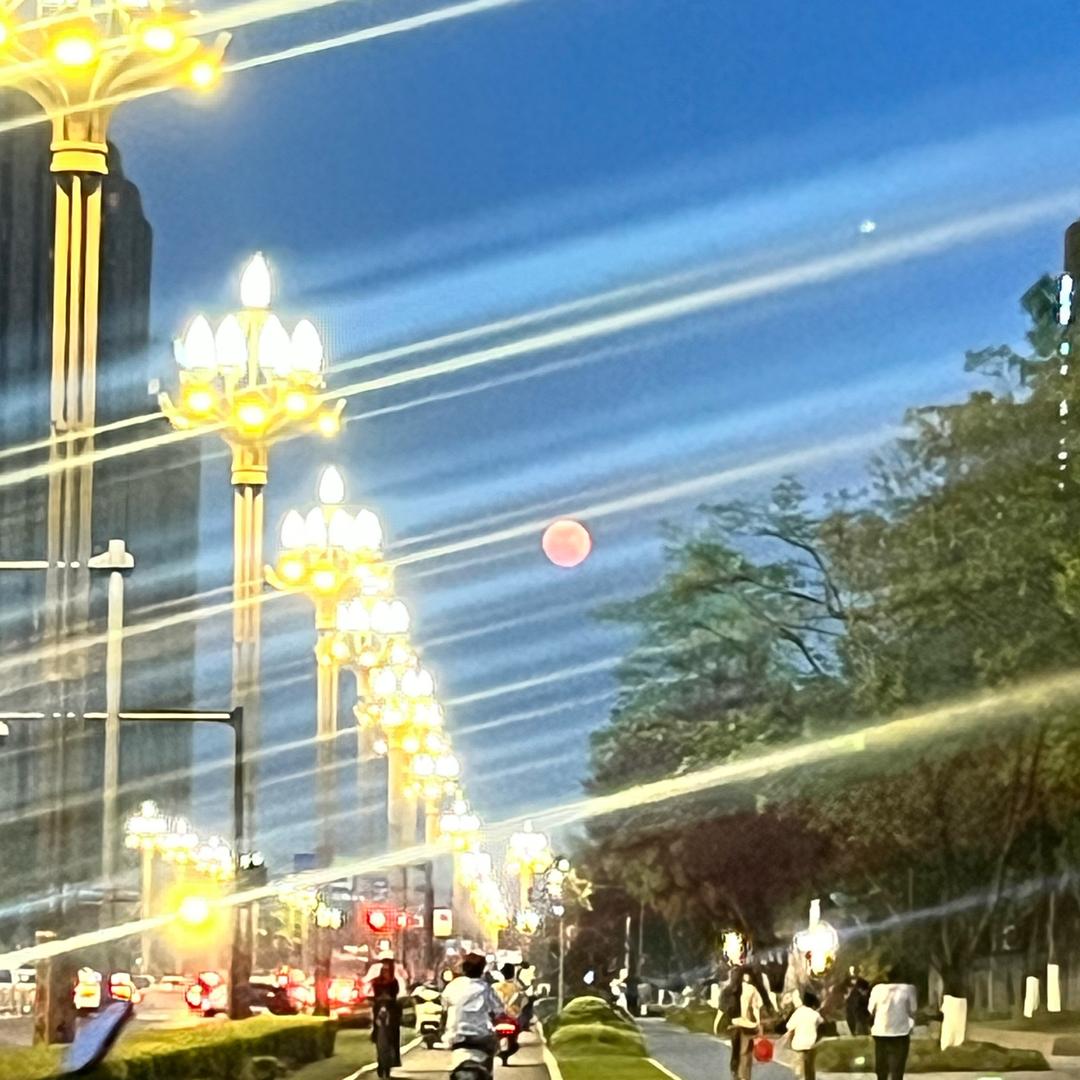阿刘水晶蒸饺