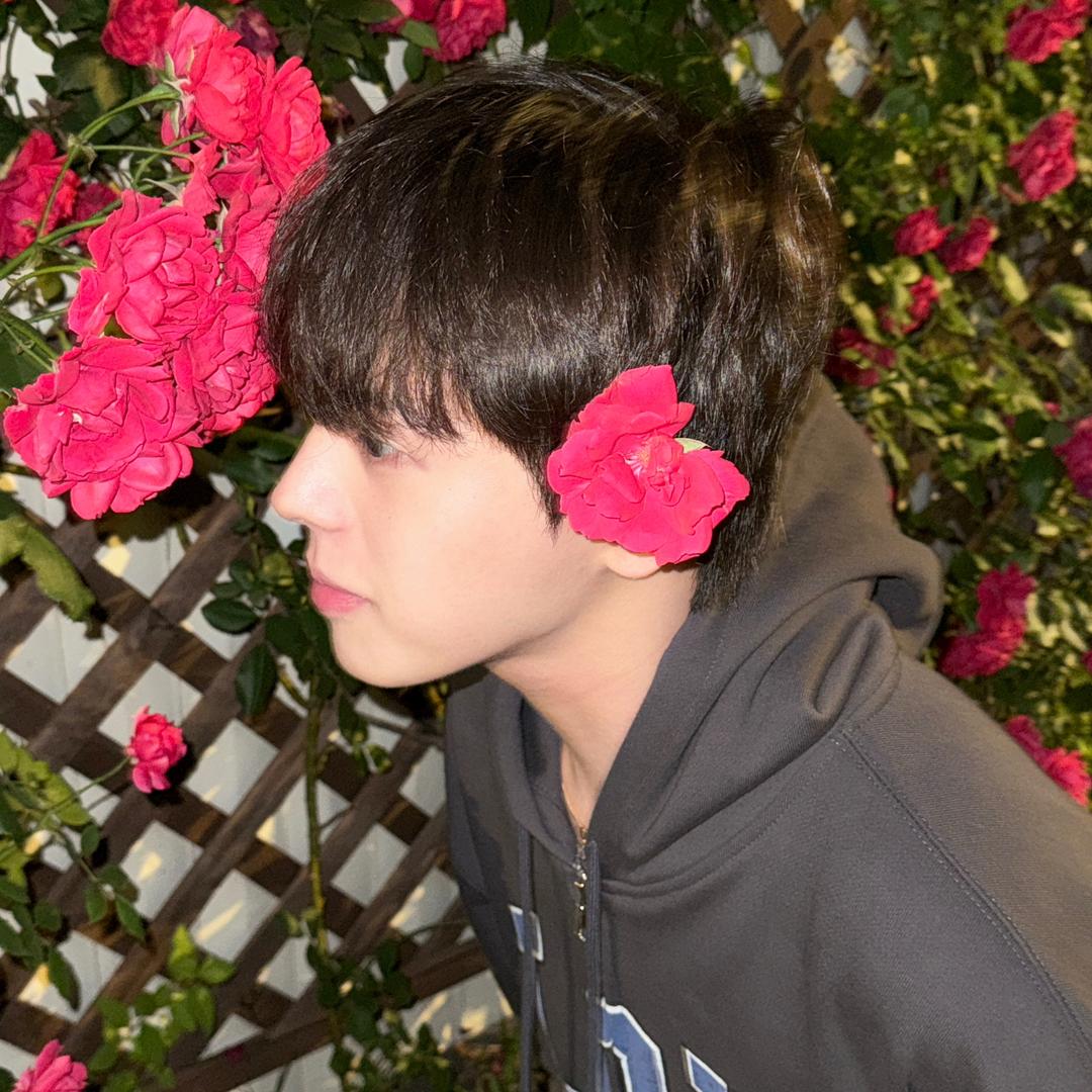 灣灣睡覺大王💤