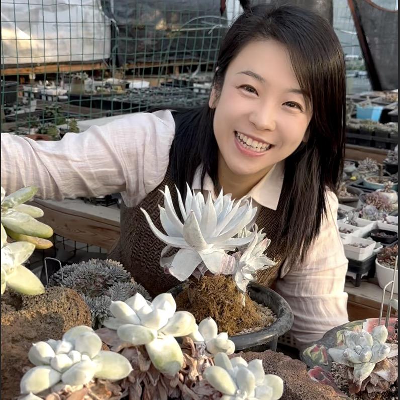 崆翎的小日滋（多肉上瘾）