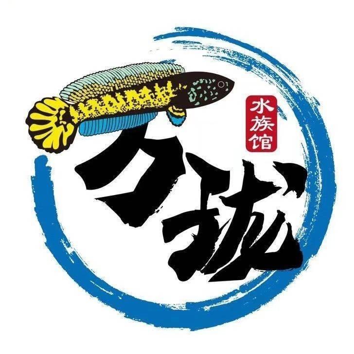 万珑雷龙工作室