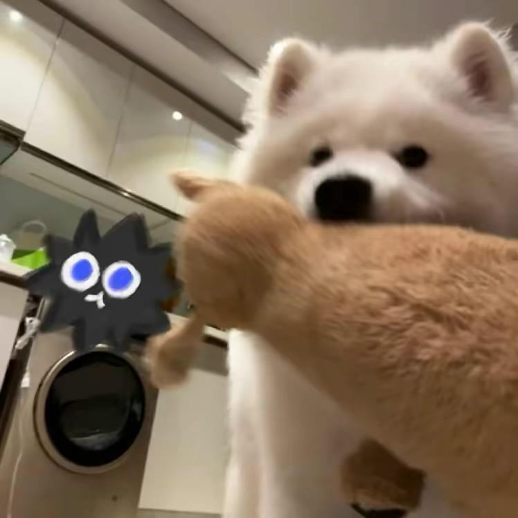 白菜与西瓜
