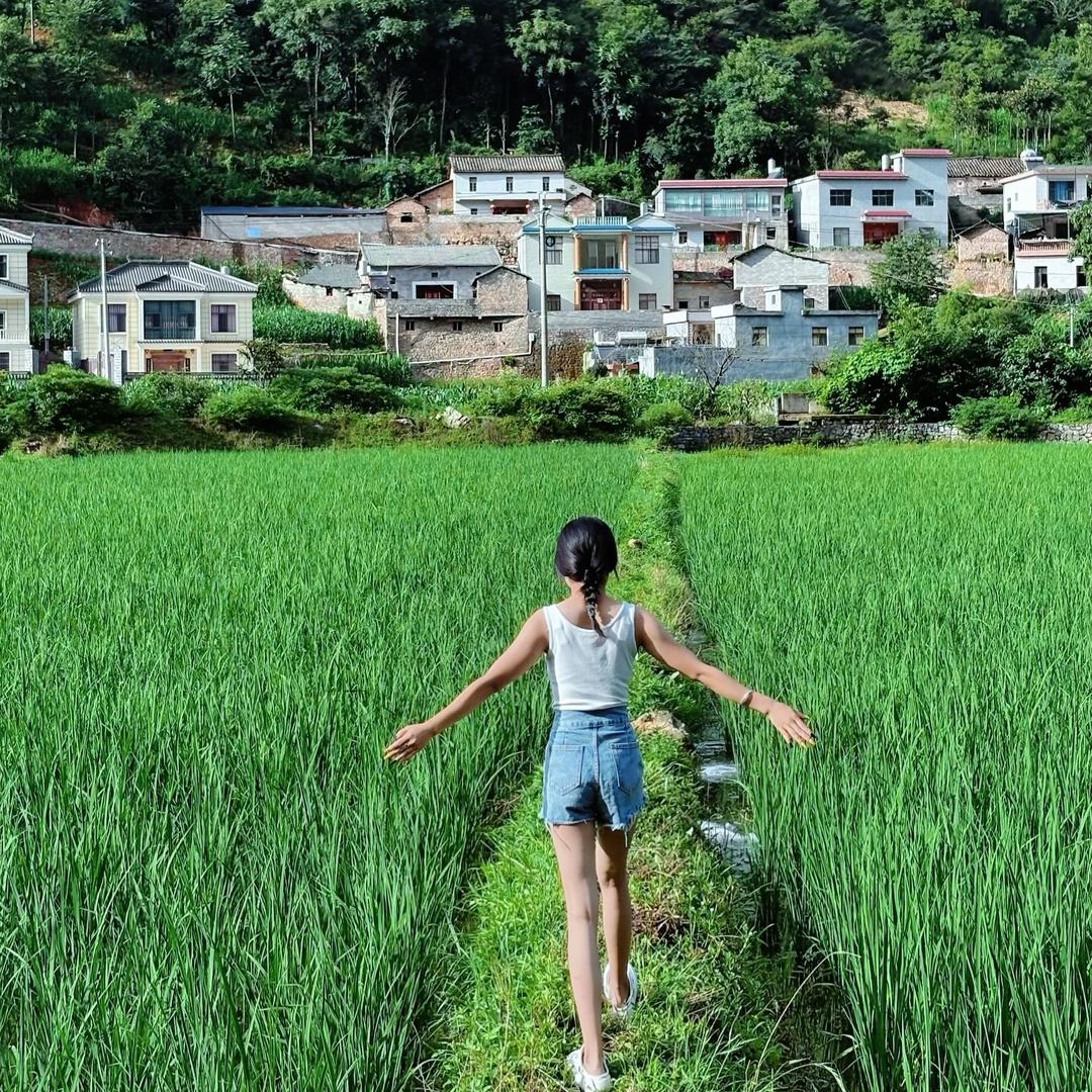 念念~