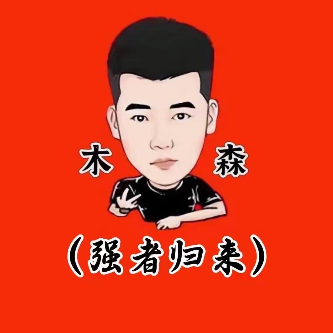 木森—辉煌归来