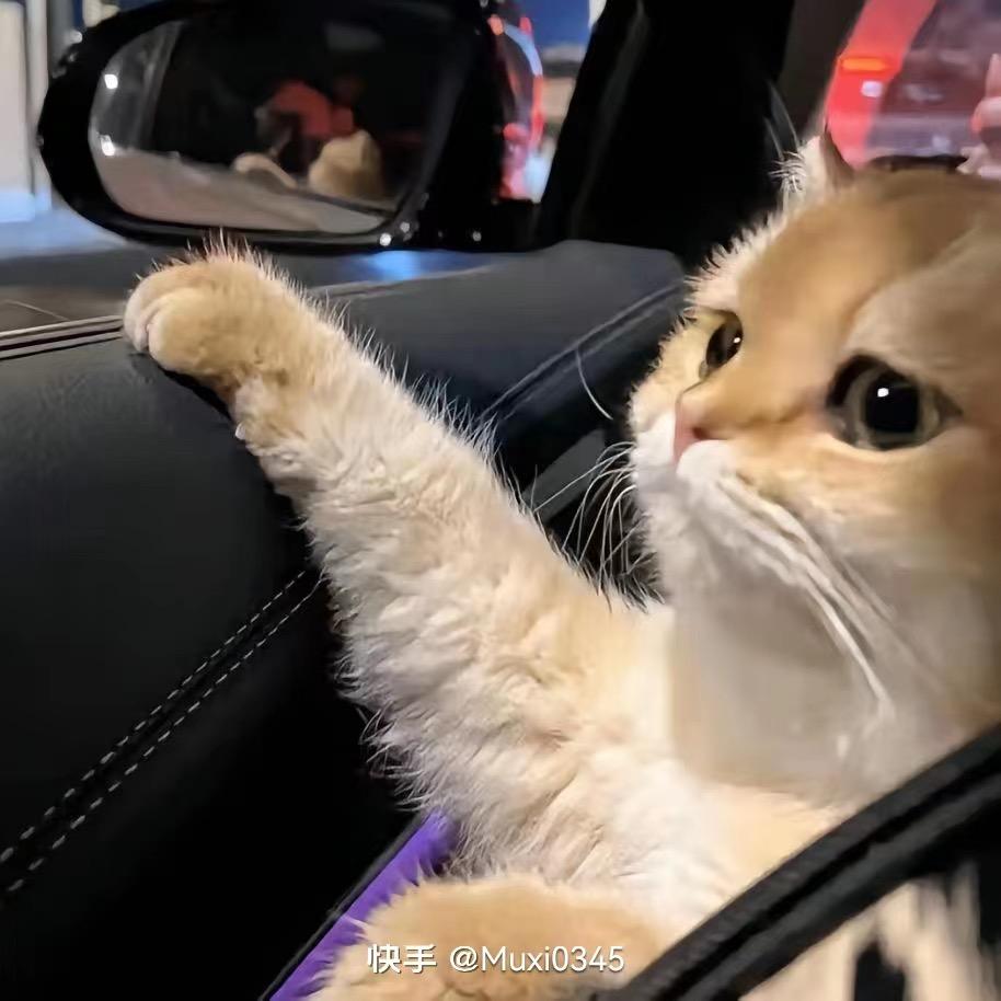 青春😽