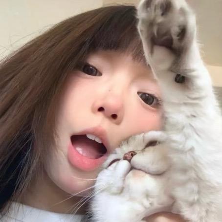 不讲李-