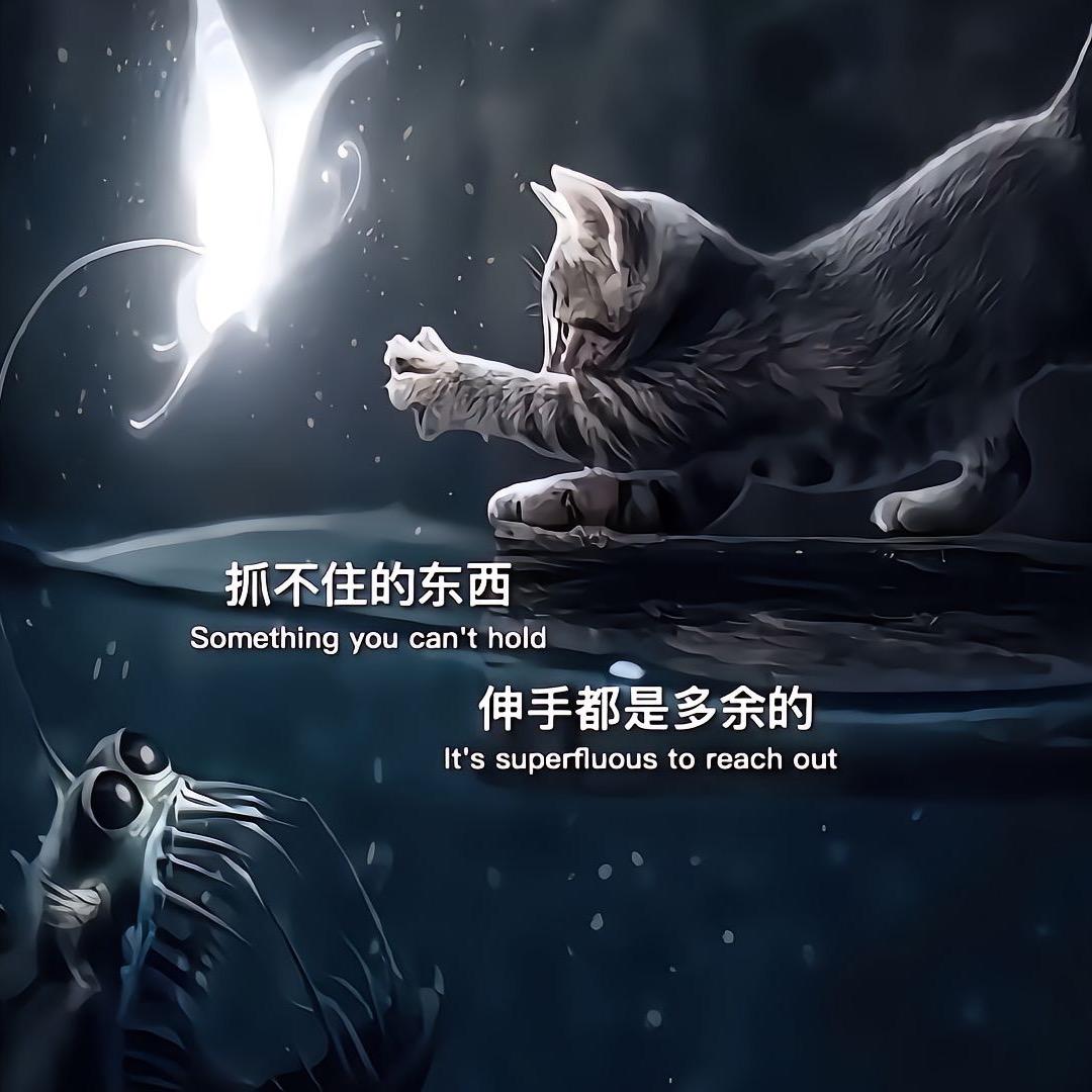 鲸落万物生