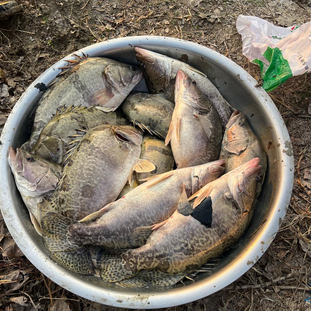 总在钓鱼（渔具批发）