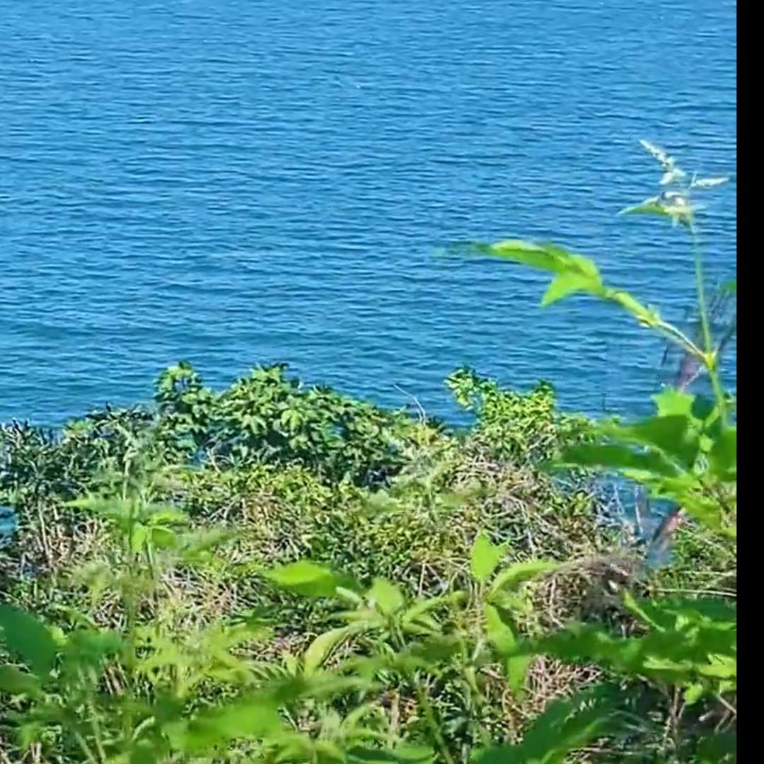 等待