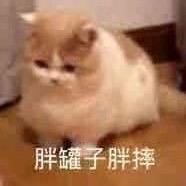 某不知名网络冲浪家