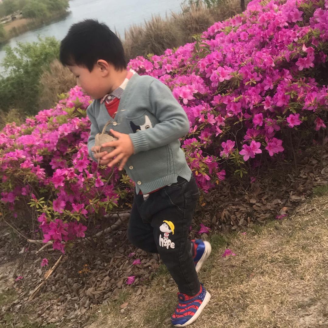 拼搏奋斗