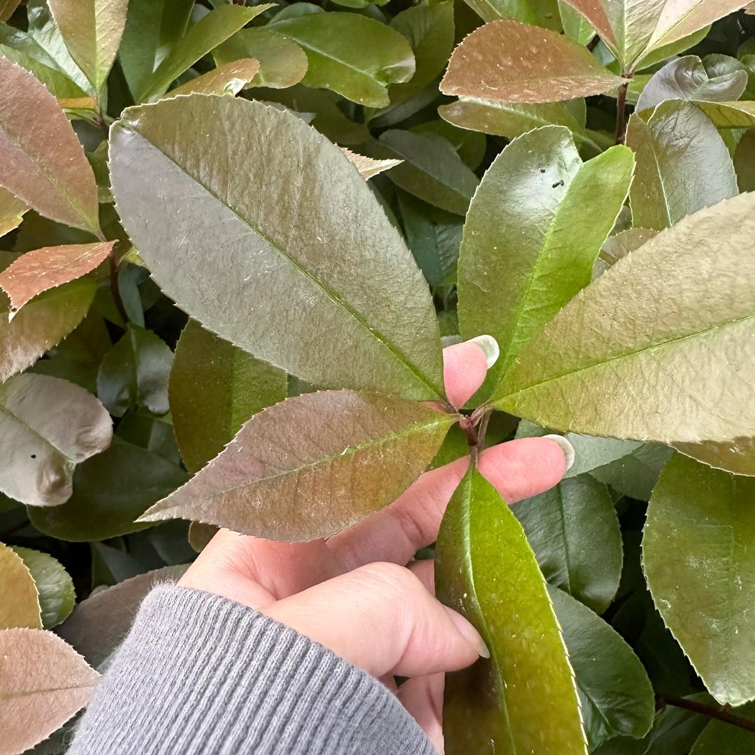 竹川子🆚三潘子