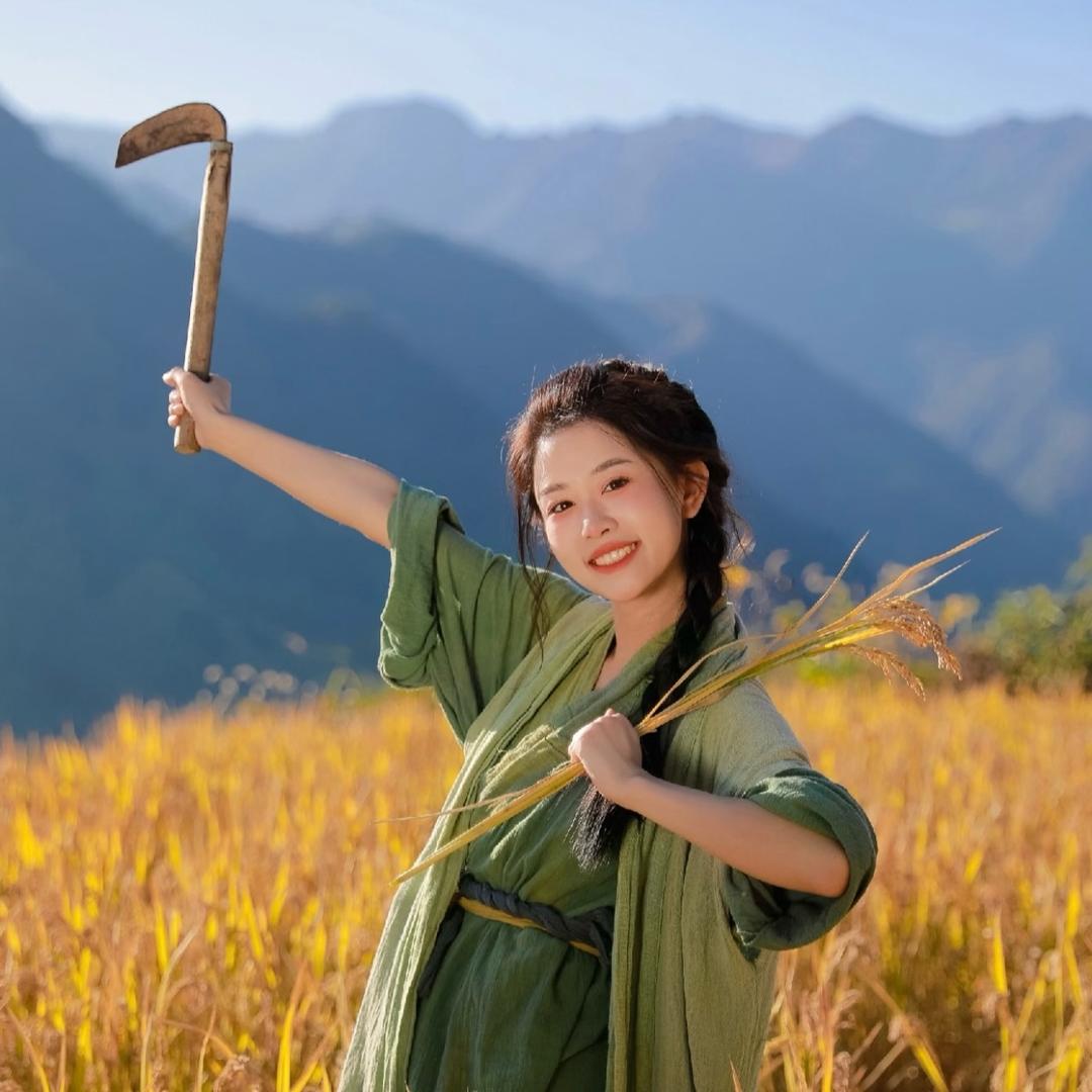 香稻稻