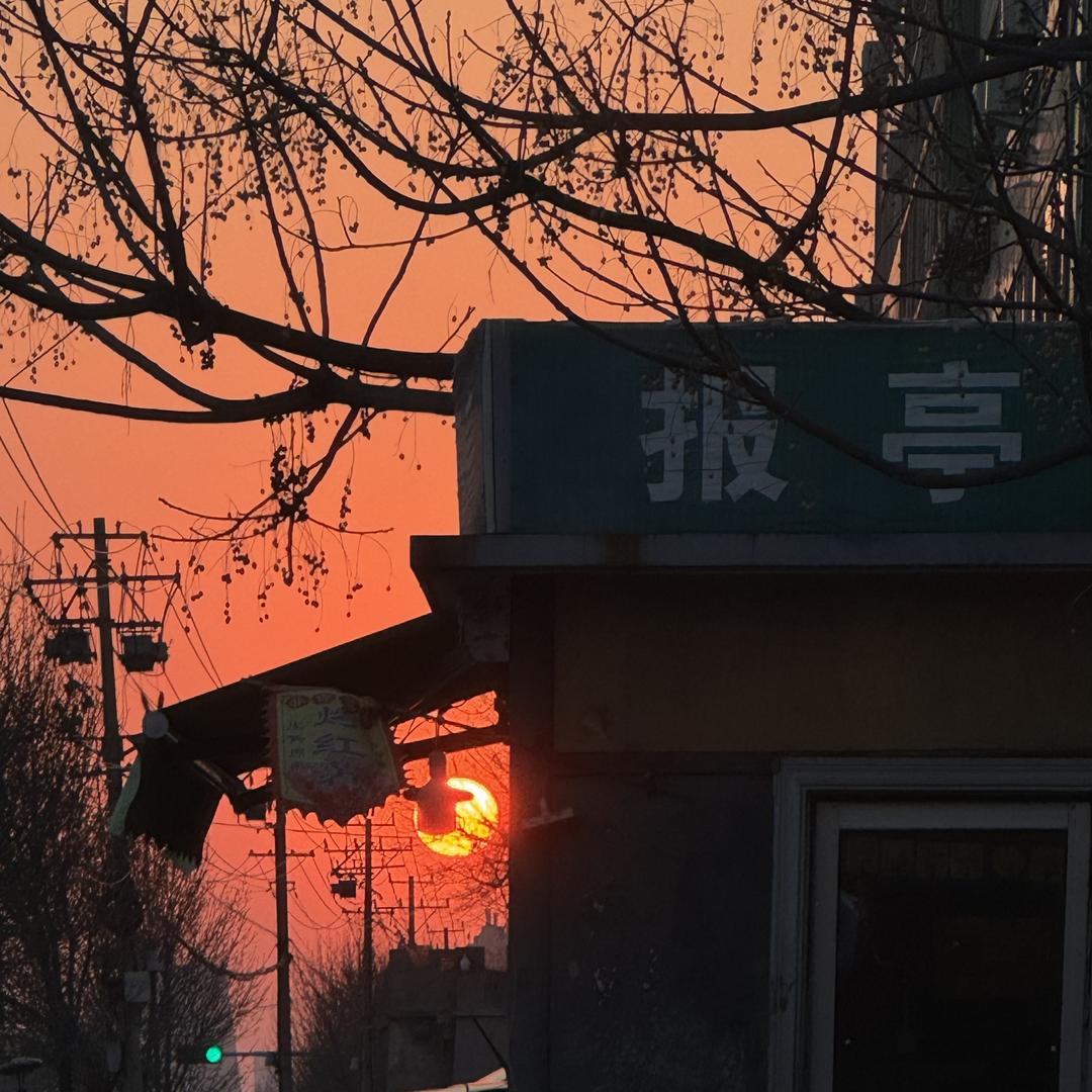 M.