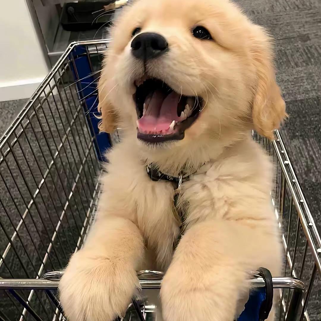 @@