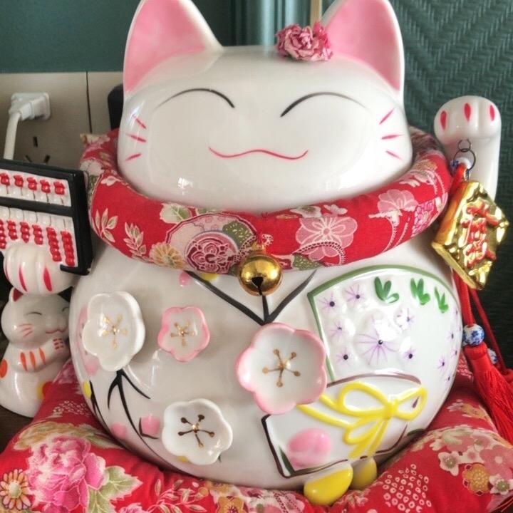 小燕子🕊