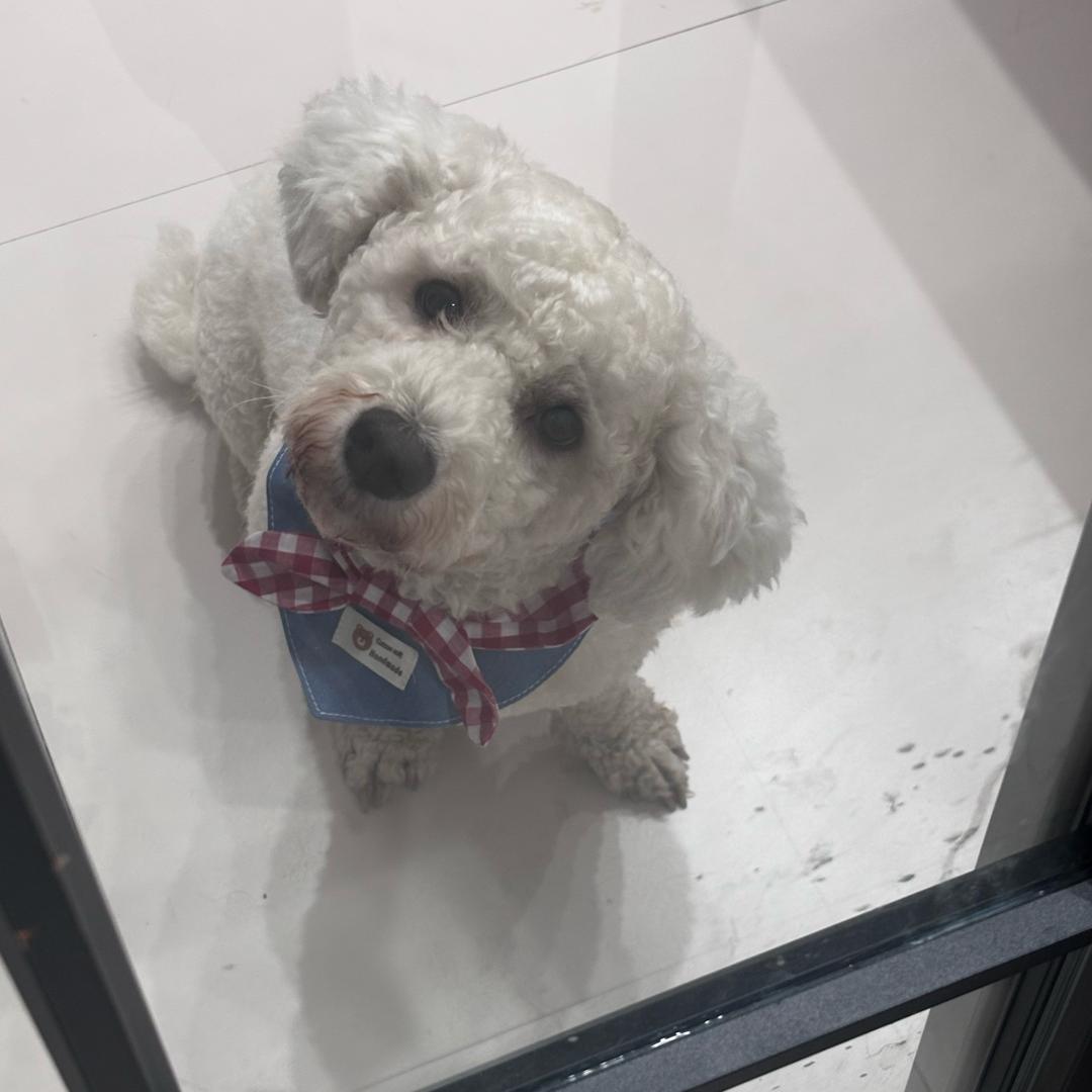 黄鼠狼鸡公煲🧟