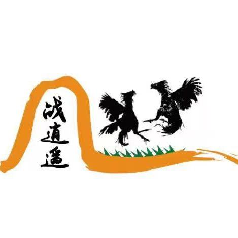 战逍遥牧业高奇