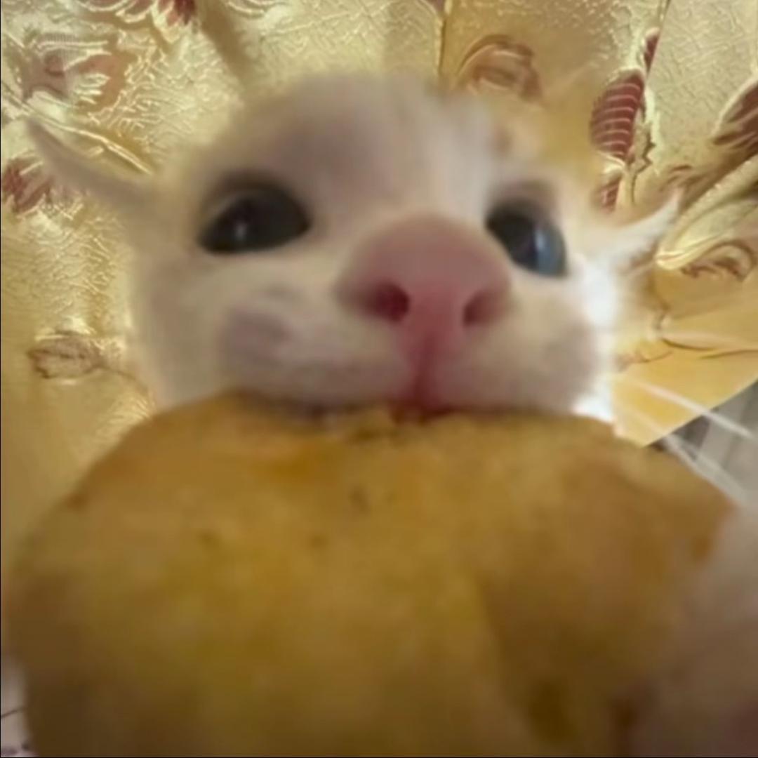 小于笨笨