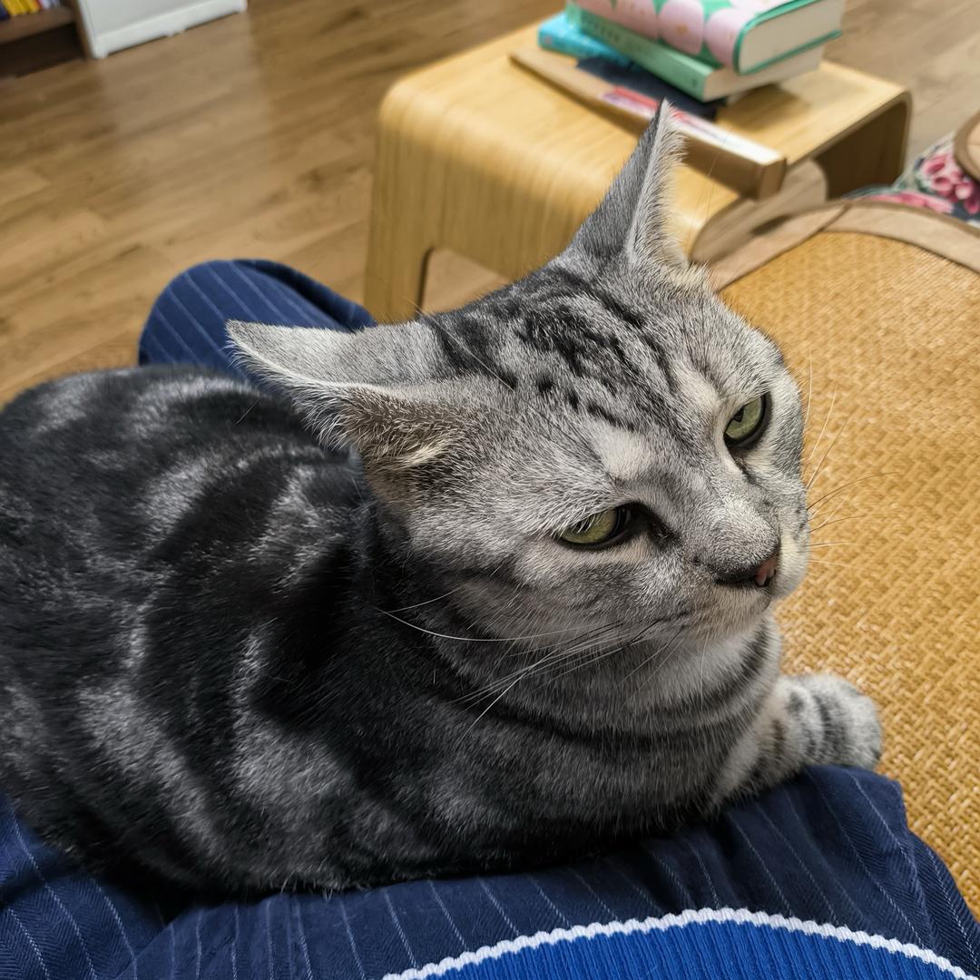 老实憨厚的诚诚