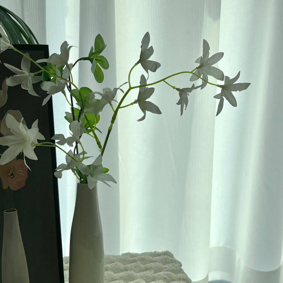 晓晓爱分享