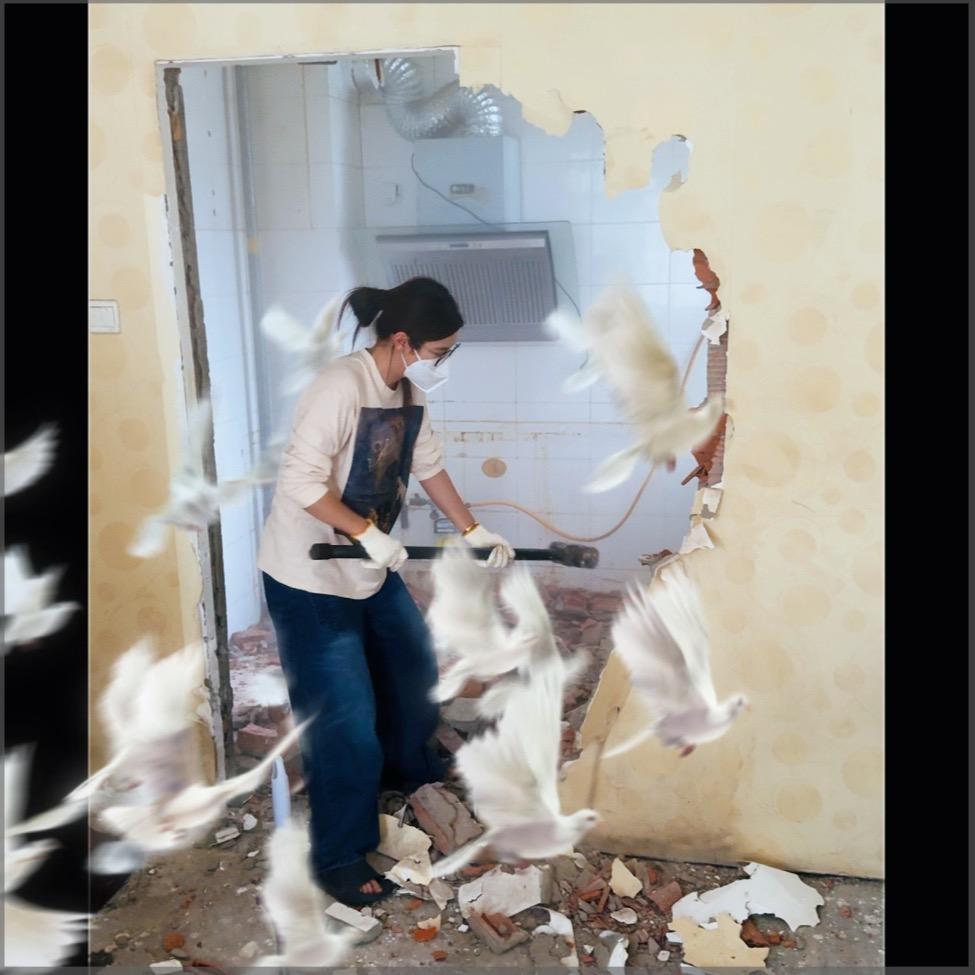 露儿哥加油干💪（硬装中）