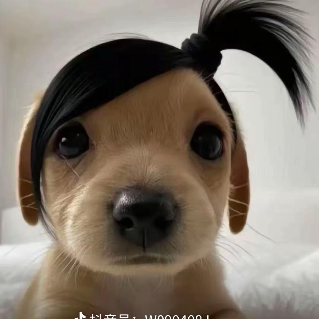 看看我看看我🌈🌈