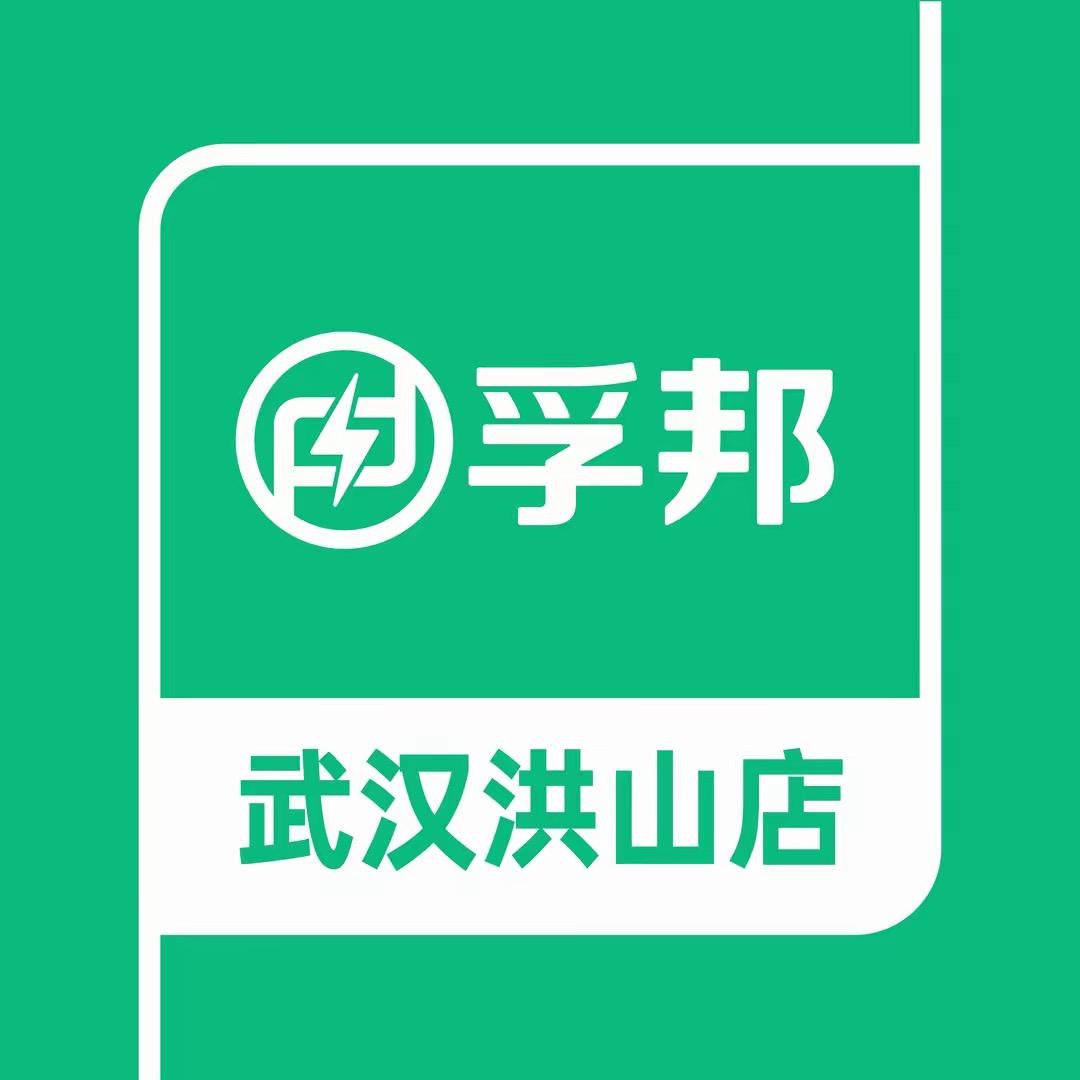 武汉孚邦特斯拉专业维修(洪山店)