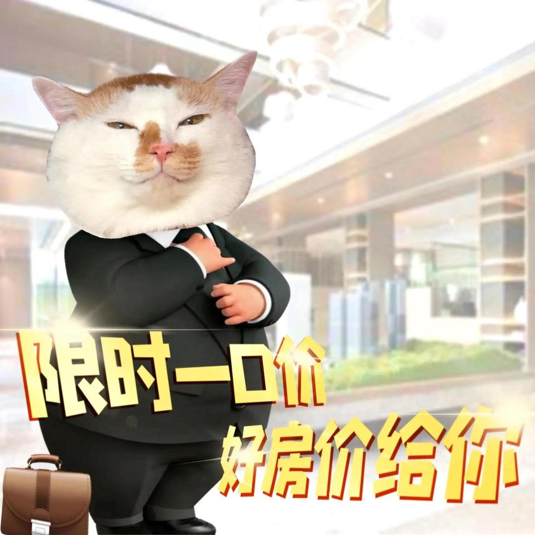 济南大猫找房