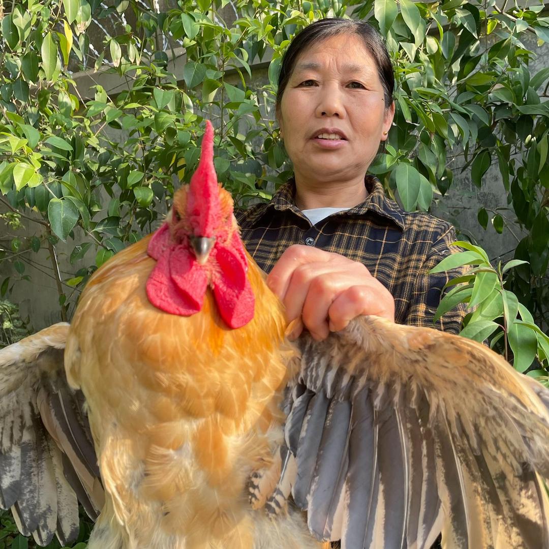 顾大娘生鲜