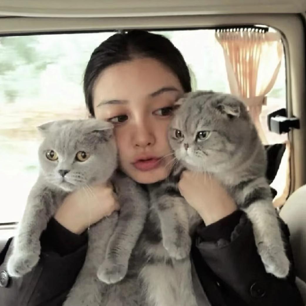 小狸