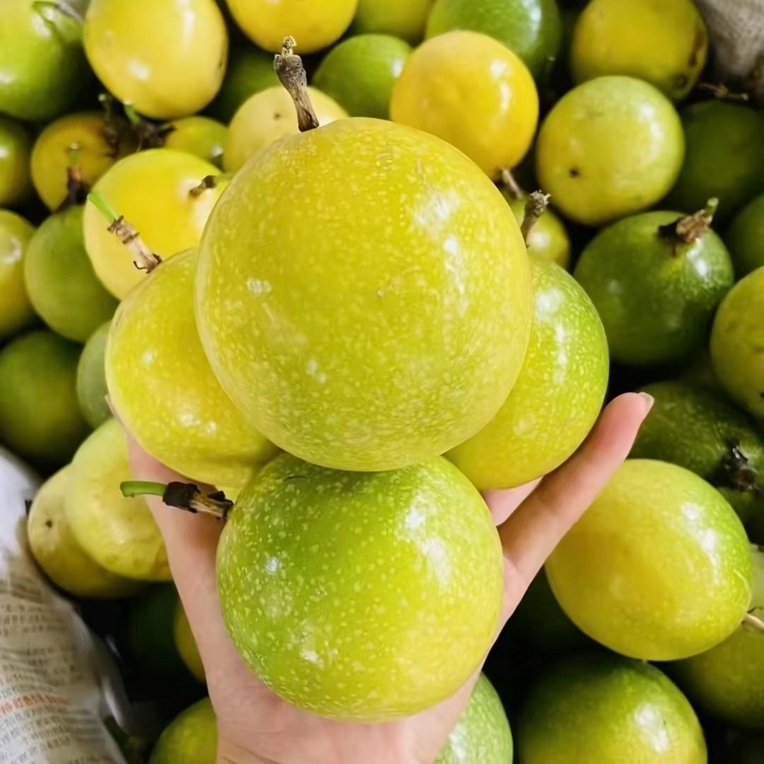 蜜甜钦蜜9号黄金百香果