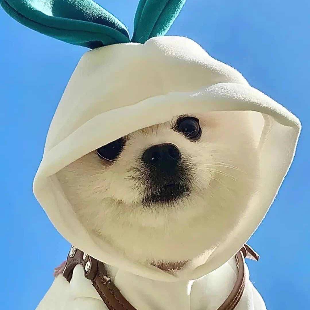 ❤️ ❤️