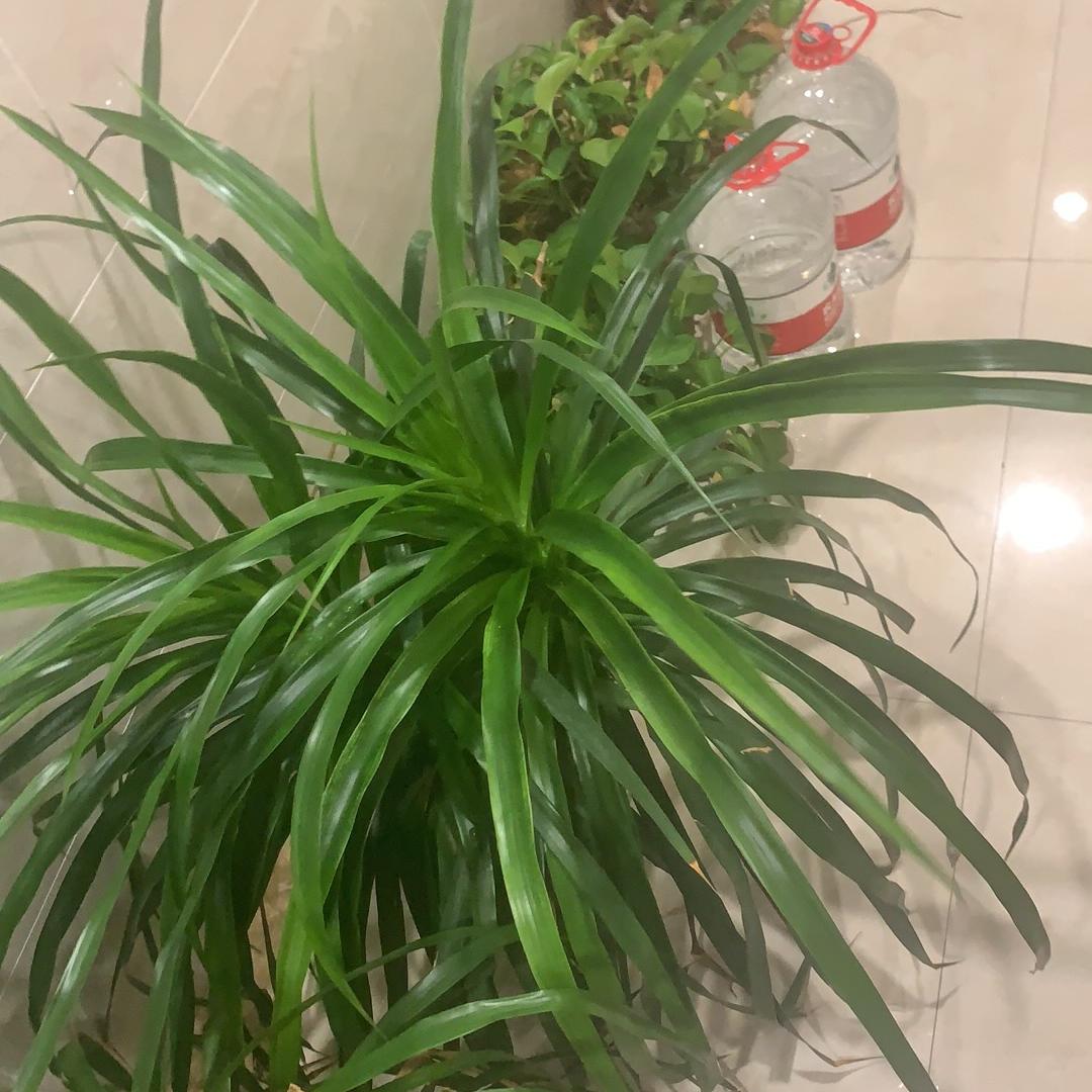 祥祥潮流穿搭